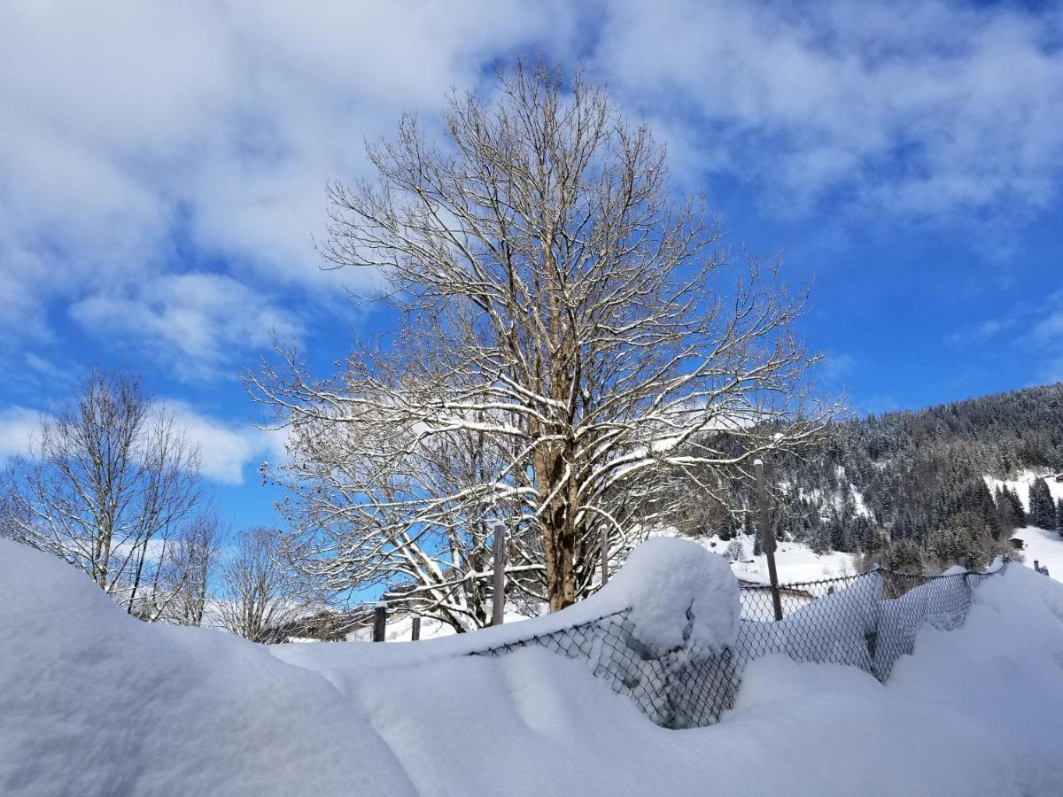 Alpenhotel Wildschoenau B&B Luaran gambar